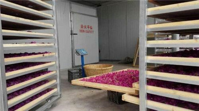 【推薦】木材烘干機有什么產品發展優勢 中藥材烘干機生產活動講解